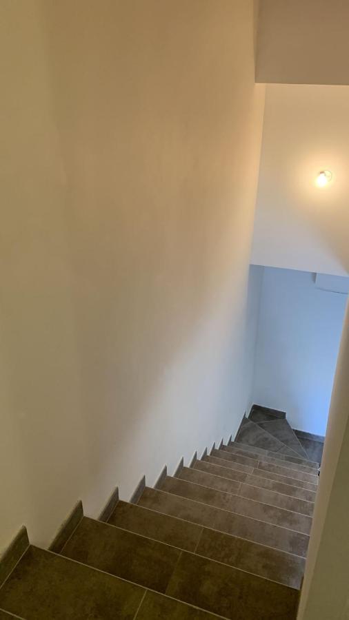 Appartement Rue De Provence 亞維農 外观 照片
